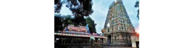 266. திருவக்கரை